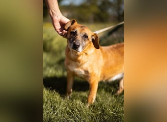 Liebste ♥Senka♥ mit einem großen Herzen