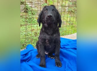 Yuki ❤️ froher, aufgeschlossener Bub!