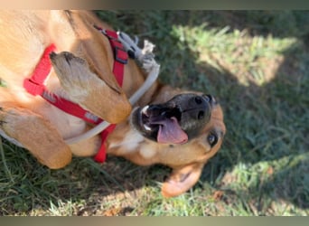 LISA❤️sanfte Seele sucht ihr Familienglück