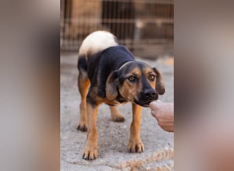 Wundervolle Aylini sucht eine Familie