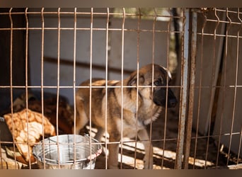 COCO❤️verspielt, sanft und voller Vertrauen: ein Herz für Groß und Klein!