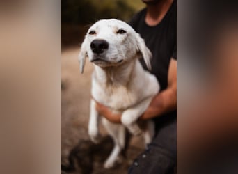 Schöner ♥ SONI ♥ möchte so sehr gerne seine Koffer hier packen
