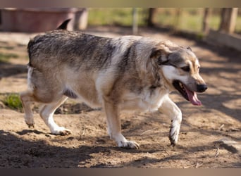 Schöne ♥Sibilla♥ sanft und freundlich