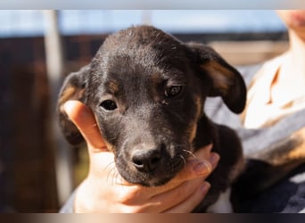 Jonas ❤️ fröhlicher + lebensfroher Schatz!