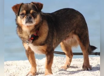 Kika & Max ❤️ gemeinsames Zuhause gesucht