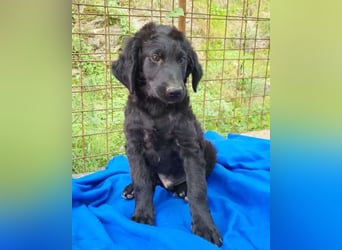 Yuki ❤️ froher, aufgeschlossener Bub!