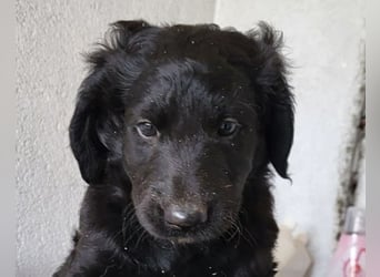 Yuki ❤️ froher, aufgeschlossener Bub!