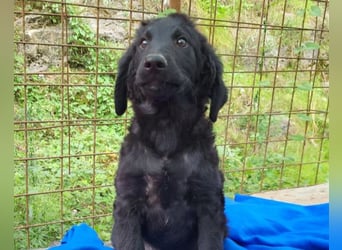 Yuki ❤️ froher, aufgeschlossener Bub!