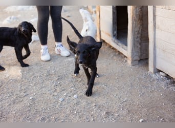 Mila ❤️ so süßes + lebensfrohes Mädchen!