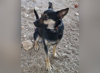 Otto ❤️ so freundlich und verträglich!