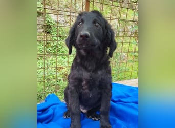 Yuki ❤️ froher, aufgeschlossener Bub!