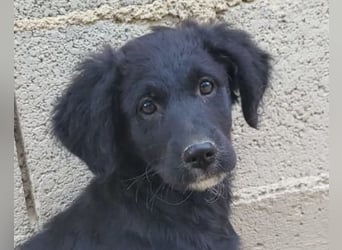 Mila ❤️ so süßes + lebensfrohes Mädchen!