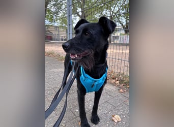 Ebony ❤️ wartet in 51469 Bergisch Gladbach auf dich