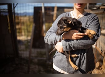 Jonas ❤️ fröhlicher + lebensfroher Schatz!