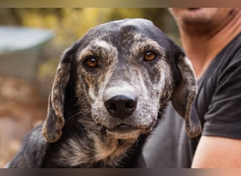 GINA❤️fröhliche, liebevolle und verspielte Flitzpiepe
