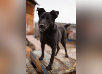 Loris ❤️ verspielter, aktiver + so lieber Jungrüde