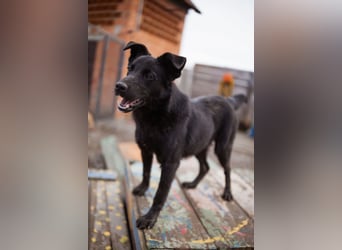 Loris ❤️ verspielter, aktiver Jungrüde