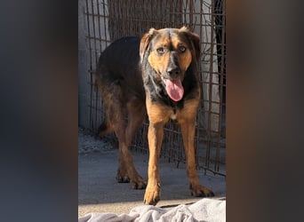 Wundervolle Aylini sucht eine Familie