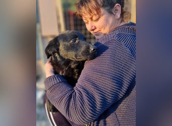 Bruce ❤️ Sanftmütig, loyal, verschmust!