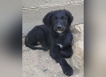 Mila ❤️ so süßes + lebensfrohes Mädchen!