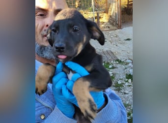 Jonas ❤️ fröhlicher + lebensfroher Schatz!