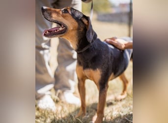 Jasco ❤️ neugierig, lebhaft & verspielt