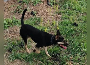 Otto ❤️ so freundlich und verträglich!