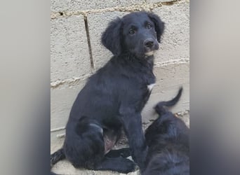 Mila ❤️ so süßes + lebensfrohes Mädchen!