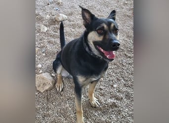 Otto ❤️ so freundlich und verträglich!