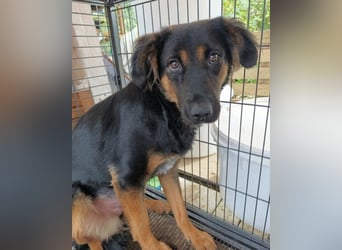 Kleine, schüchterne Vaiana = sucht Liebe und Treue