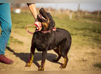 Aktiver Ares sucht seine aktiven Menschen