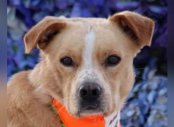 Kika & Max ❤️ gemeinsames Zuhause gesucht