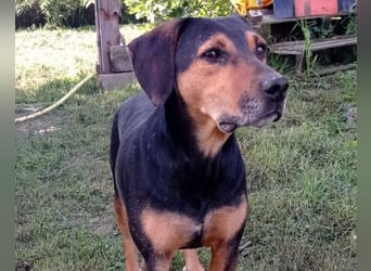 Jasco ❤️ neugierig, lebhaft & verspielt