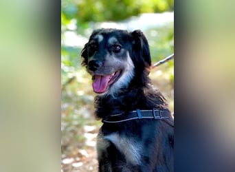 Samba: superliebe Seele sucht Herzensmenschen