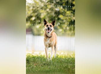 Lebhafte Dasha sucht ihre Menschen