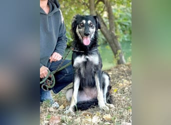 Samba: superliebe Seele sucht Herzensmenschen