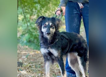 Samba: superliebe Seele sucht Herzensmenschen