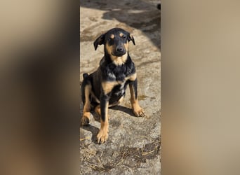 Mirona wartet in 97724 Burglauer auf Besuch