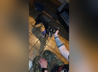 Mirona wartet in 97724 Burglauer auf Besuch