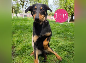 Eletta ein sanfter Engel