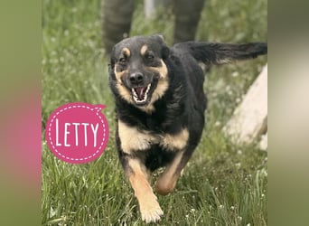 Letty ein freundliches Mädchen