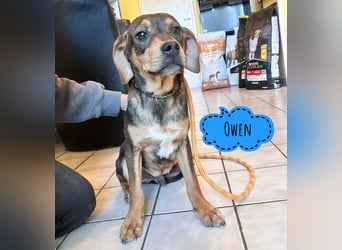 Owen ein absoluter Schatz
