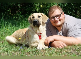 Wer schenkt unserem unsicheren Teo ein behütetes Zuhause?