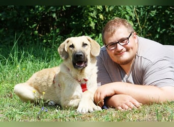 Wer schenkt unserem unsicheren Teo ein behütetes Zuhause?