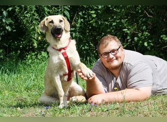 Wer schenkt unserem unsicheren Teo ein behütetes Zuhause?