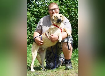 Wer schenkt unserem unsicheren Teo ein behütetes Zuhause?