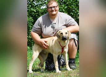 Wer schenkt unserem unsicheren Teo ein behütetes Zuhause?