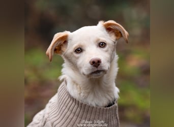 Hübsche junge Fleur sucht ein Zuhause