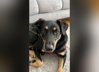 Verschmuste Fanny sucht ihre Familie