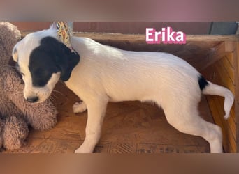 Erika - aufgeweckt und verspielt